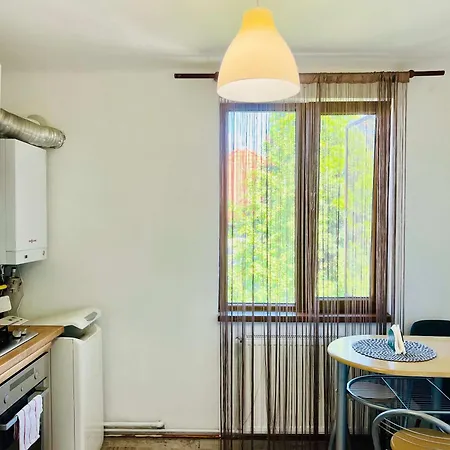 Appartement Joy Victor Babes 14 *