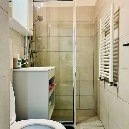 Appartement Joy Victor Babes 14
