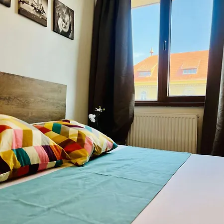 Appartement Joy Victor Babes 14 Timişoara
