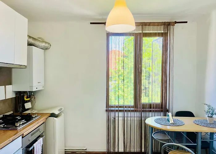 Apartamento Joy Victor Babes 14 *