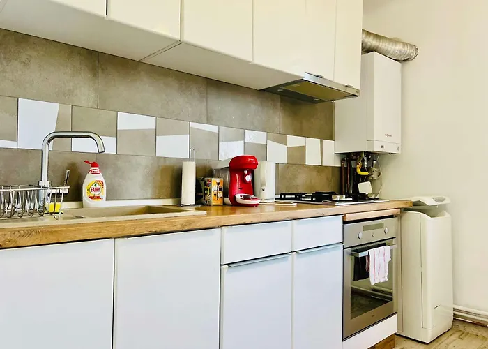 Joy Victor Babes 14 Apartamento Timişoara