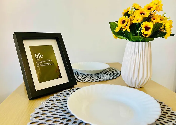 Joy Victor Babes 14 Timişoara