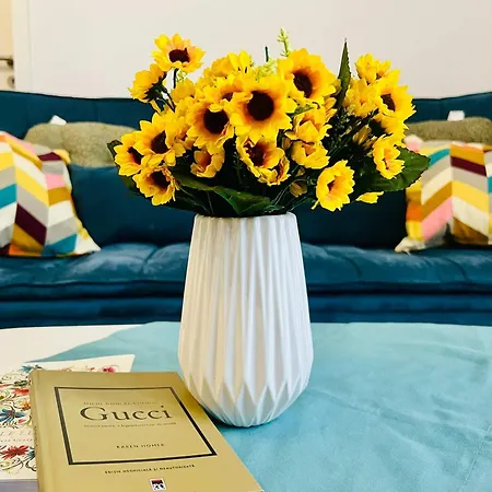 Joy Victor Babes 14 Apartman Temesvár