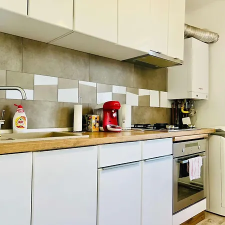 Joy Victor Babes 14 Apartman Temesvár