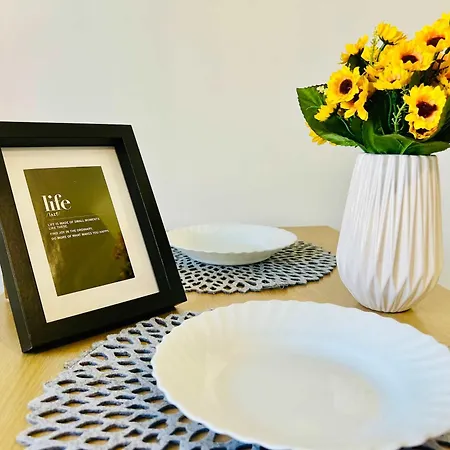 Joy Victor Babes 14 Temesvár